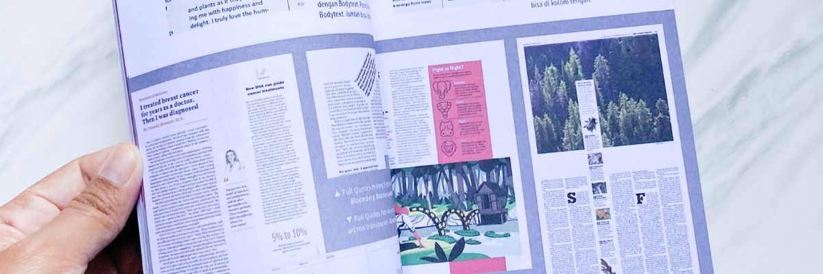 Kitap Tanıtım Broşürü Nasıl Hazırlanır